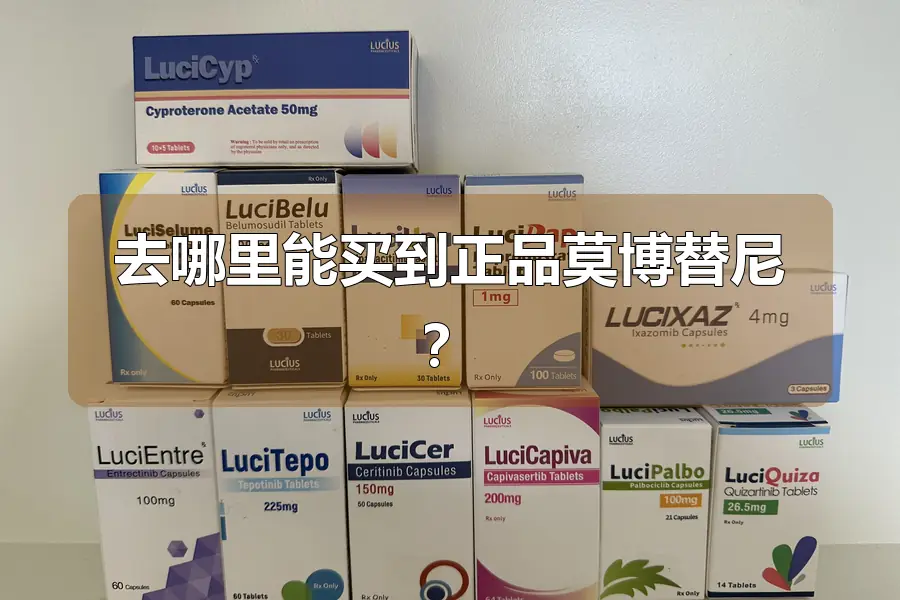 去哪里能买到正品莫博替尼？